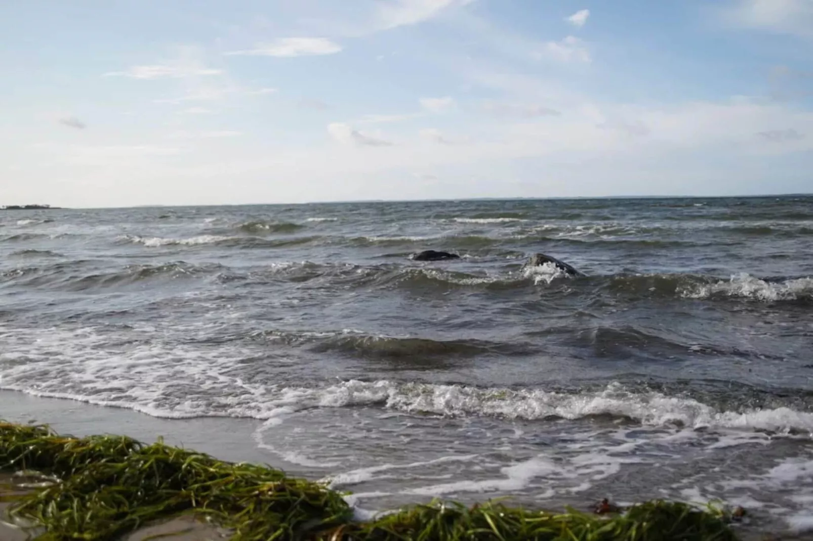 5 persoons vakantie huis in Jægerspris-By Traum-Waterzicht