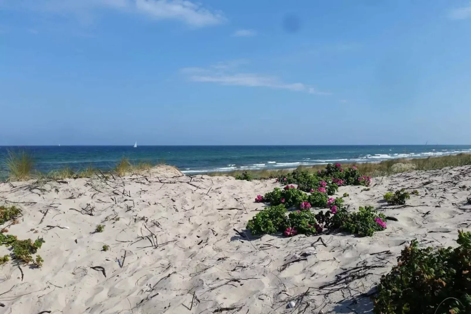 6 persoons vakantie huis in Frederiksværk-By Traum-Waterzicht