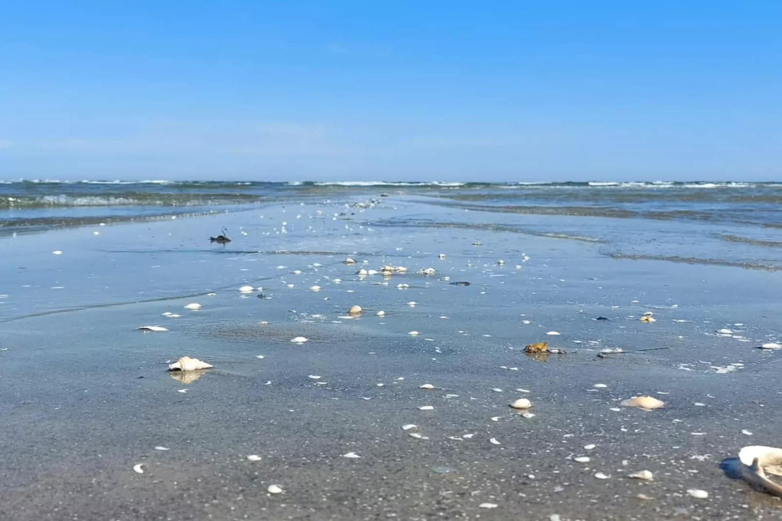 4 persoons vakantie huis in Hals-By Traum-Waterzicht