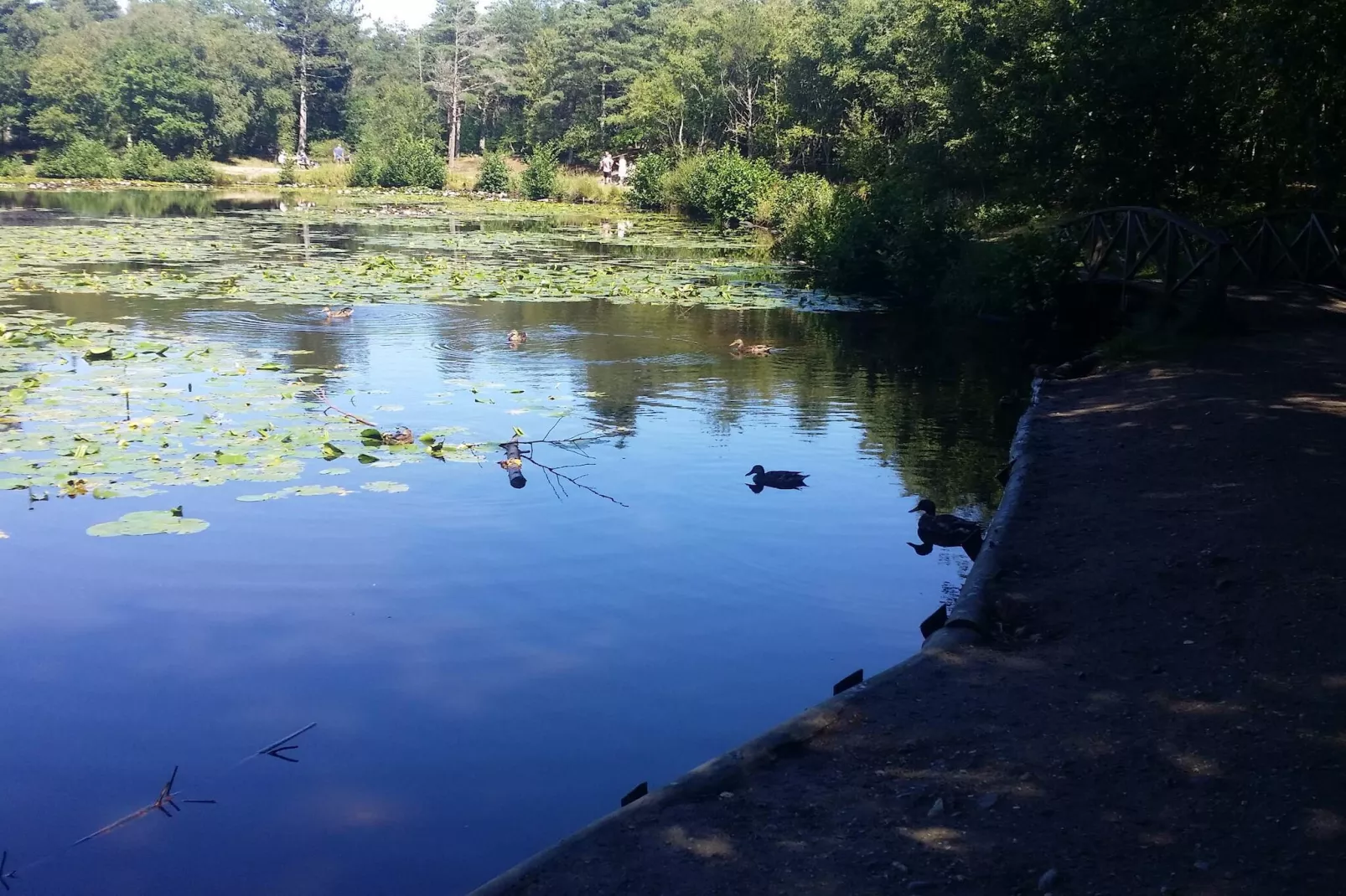 10 persoons vakantie huis in Ålbæk-By Traum-Waterzicht