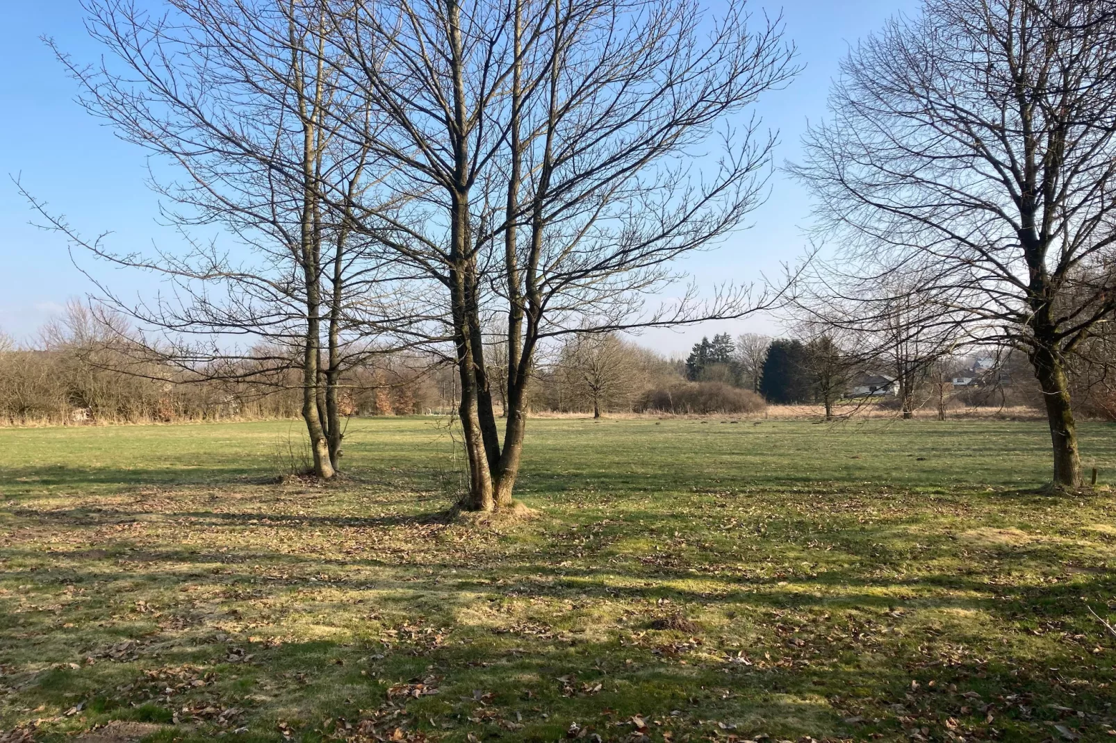 Domaine des Bouts de Fagnes-Tuin winter