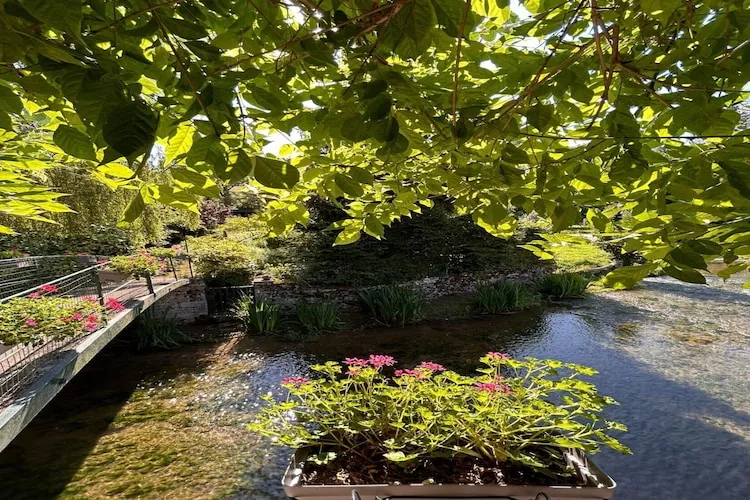 Bligny-sur-Ouche-Tuinen zomer