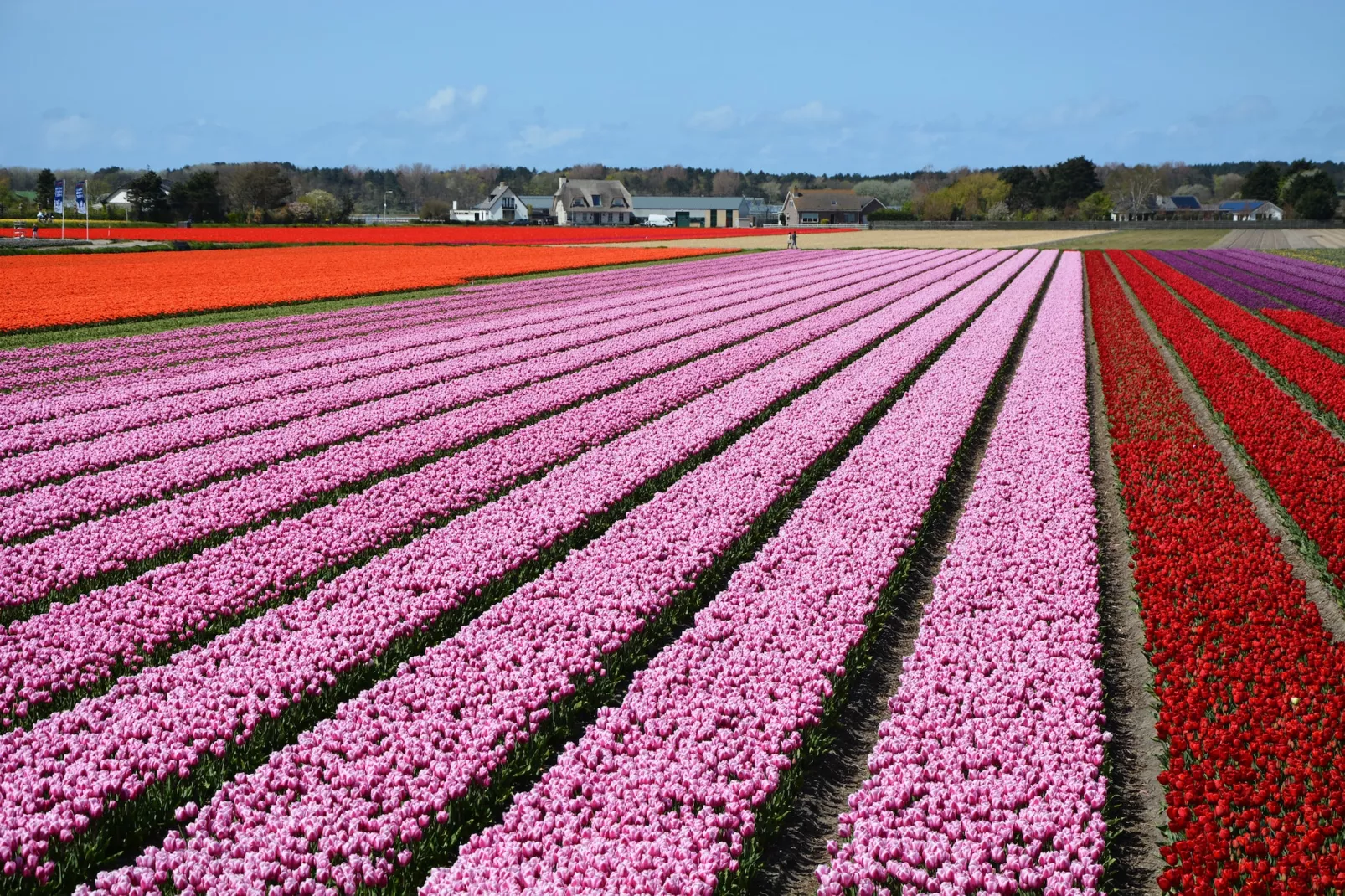 Marie aan Zee-Gebieden zomer 5km