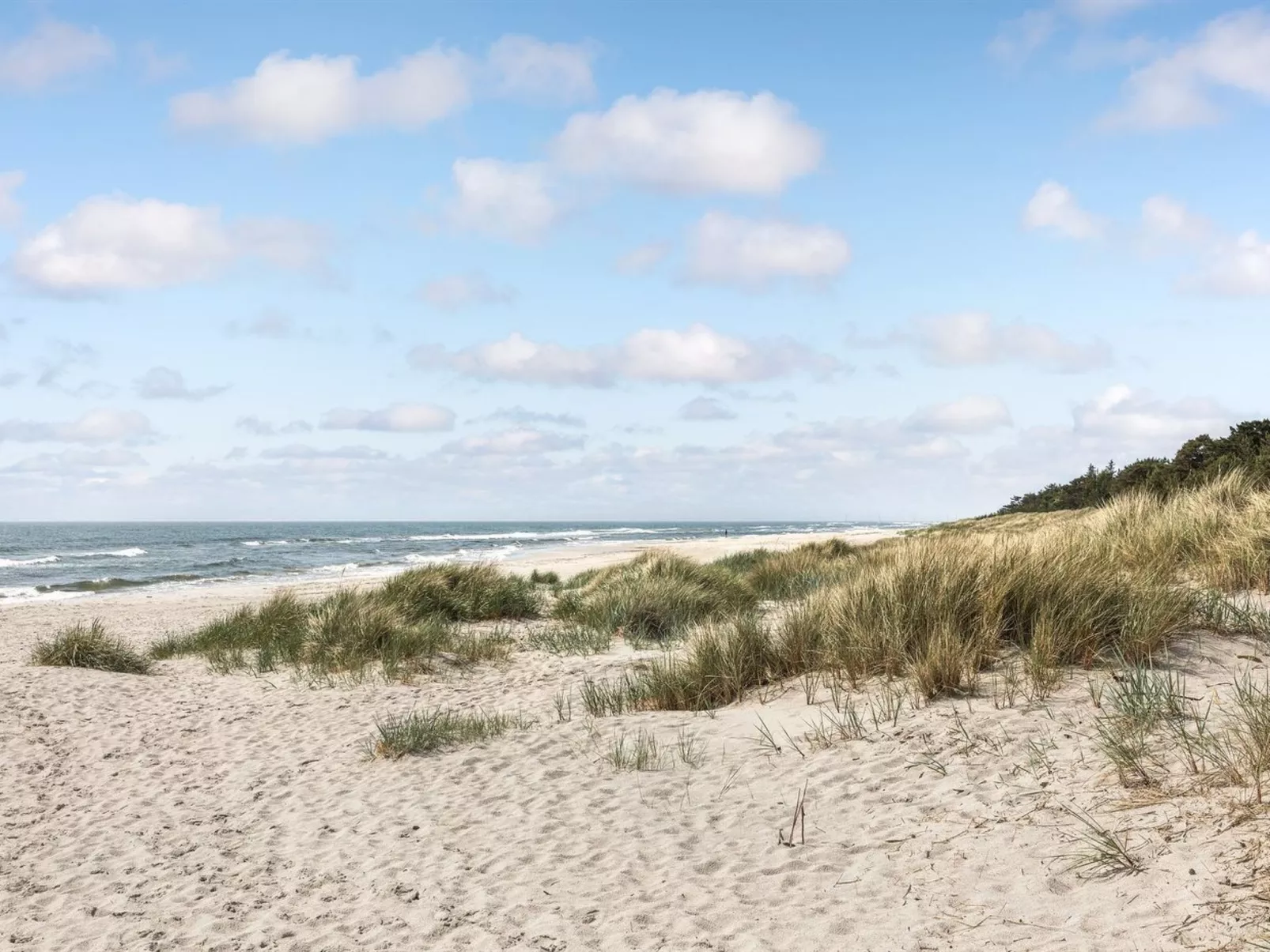 "Tume" - 200m from the sea-Buiten