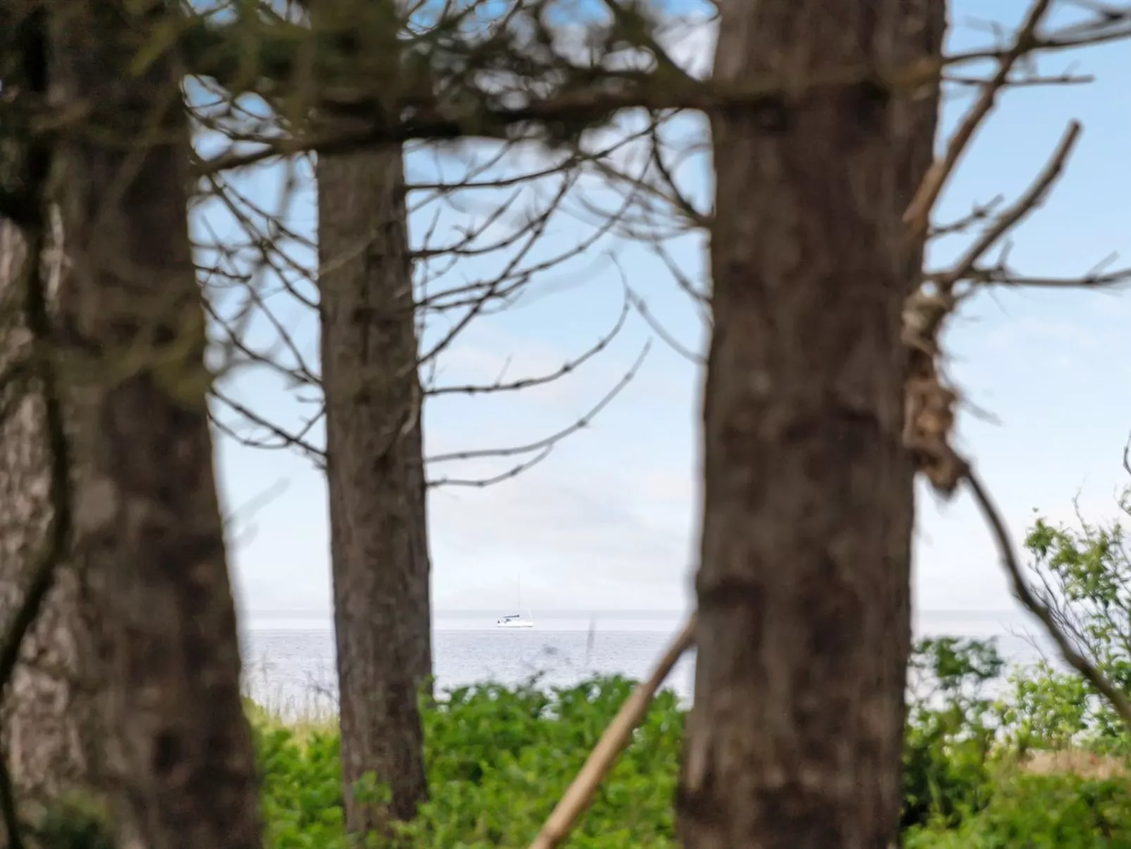 "Jute" - 100m from the sea-Buiten