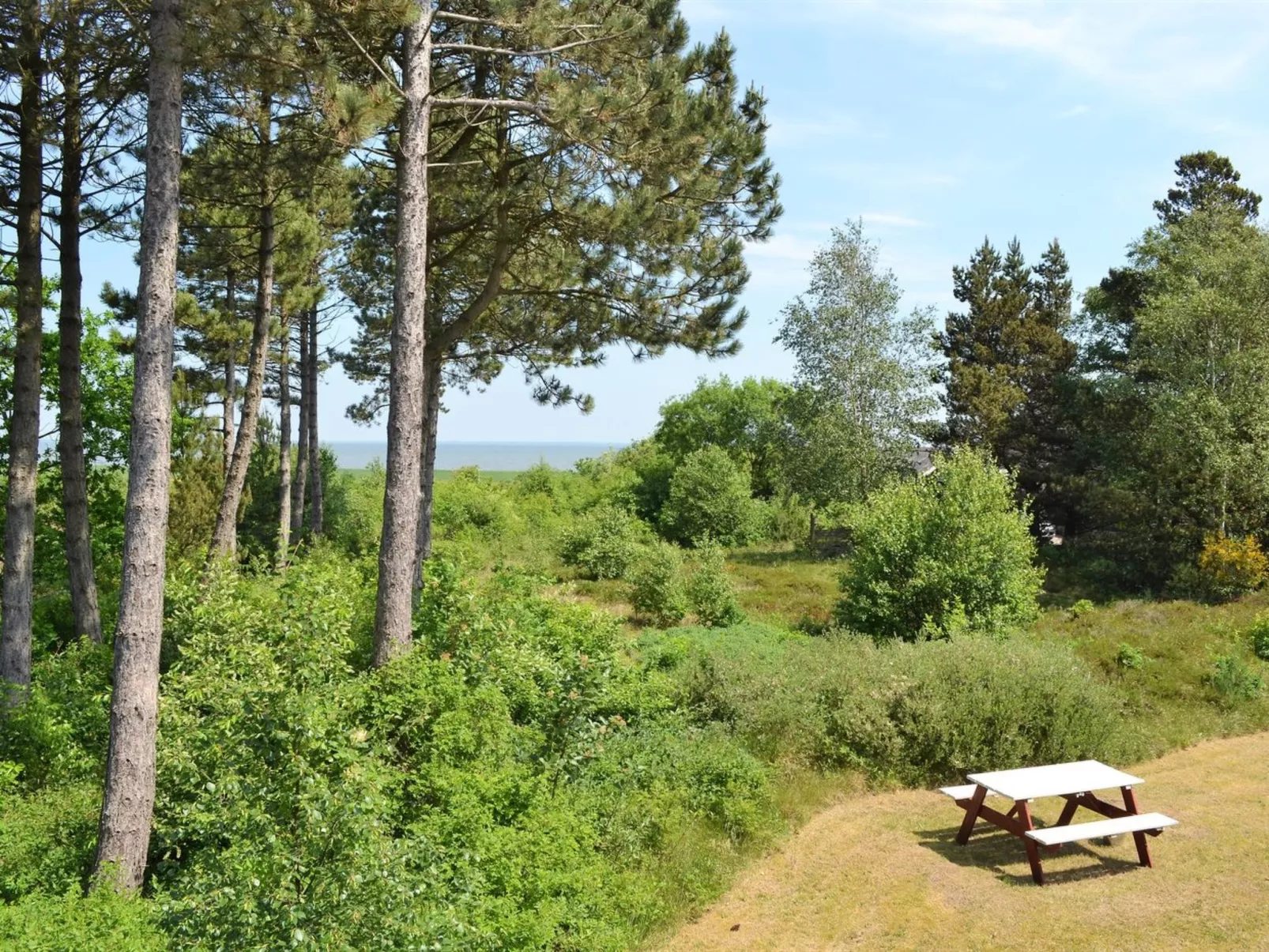 "Volmer" - 3.9km from the sea-Buiten