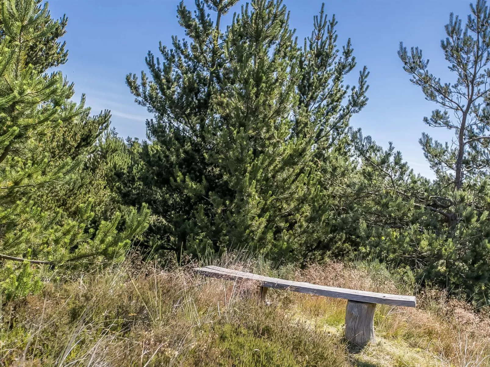 "Bruna" - 2km from the sea-Buiten