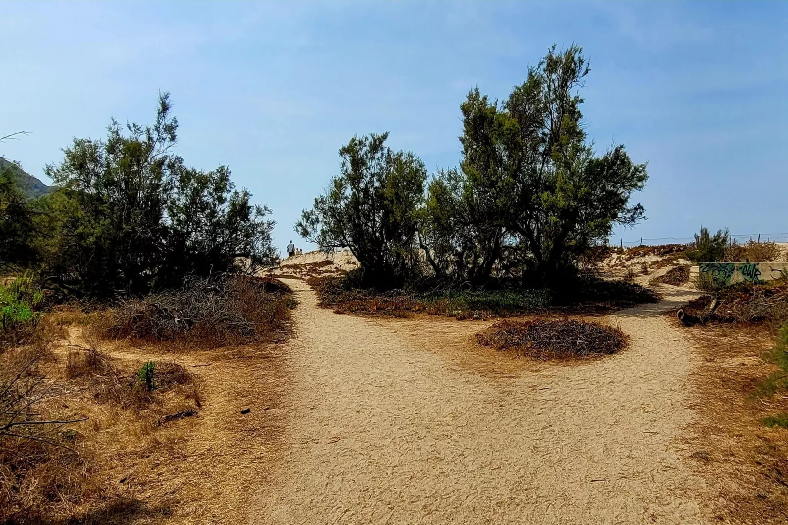 Résidence U Livanti Belvédère Campomoro - Chalet Casane-Gebieden zomer 20km