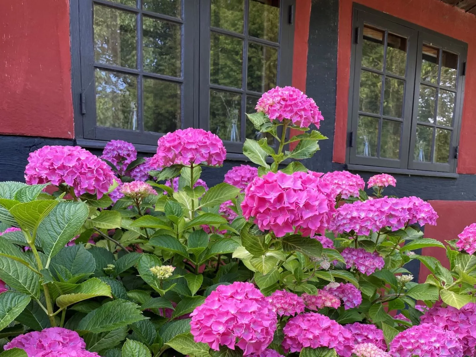 "Elvin" - 2.7km from the sea-Buiten