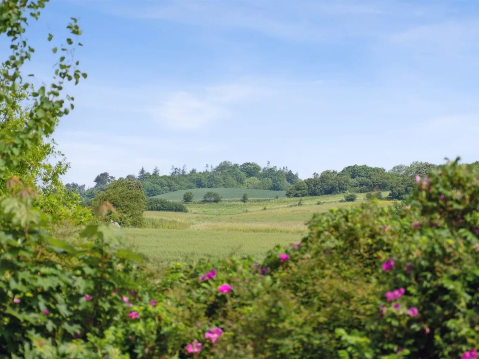 "Sys" - 150m from the sea-Buiten