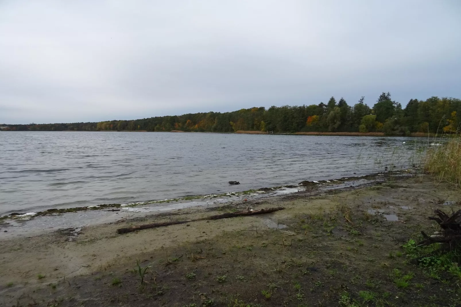 Luxus Appartement / 7 Personen-Gebieden zomer 5km