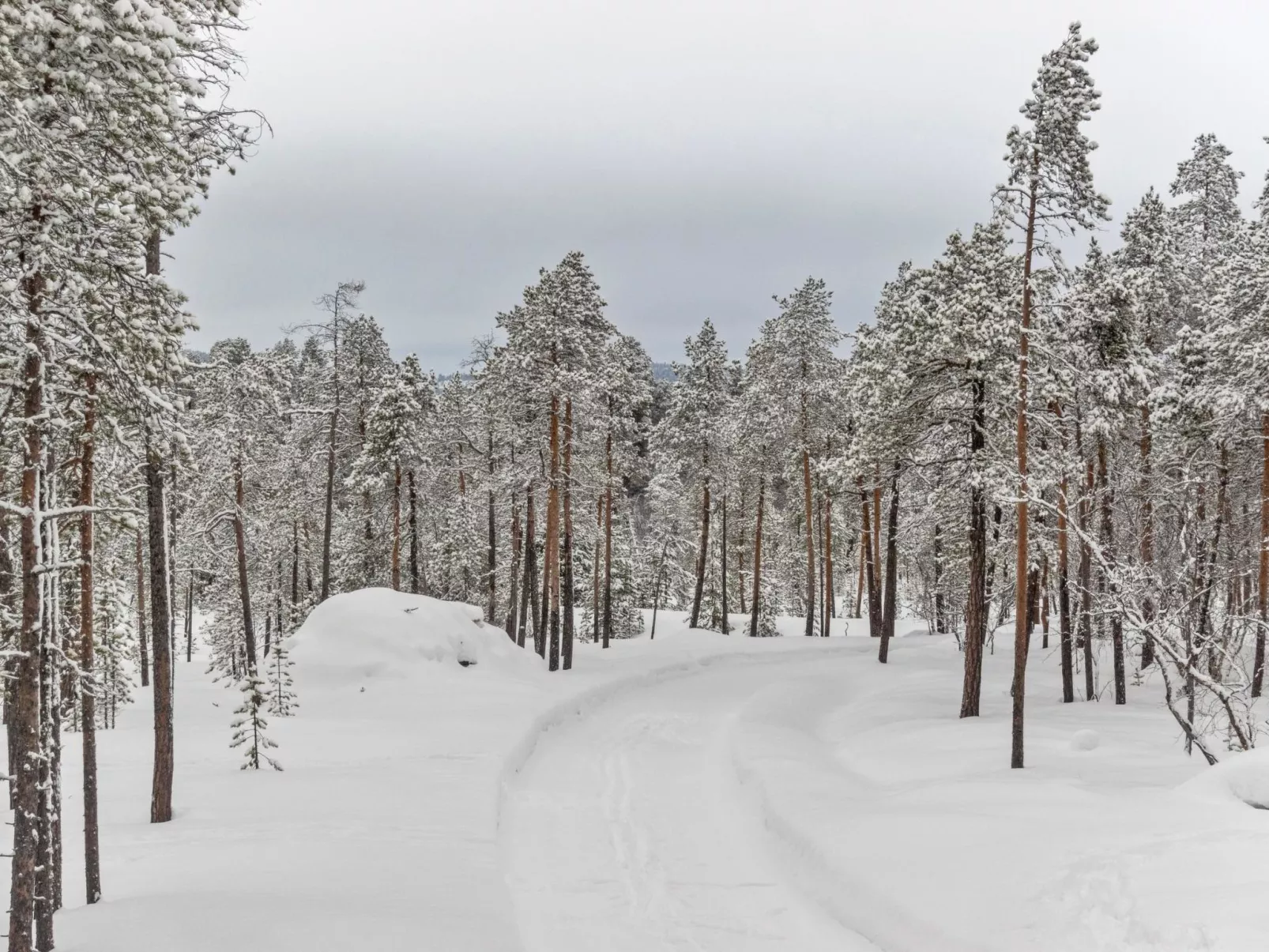 Villa paadari-Binnen