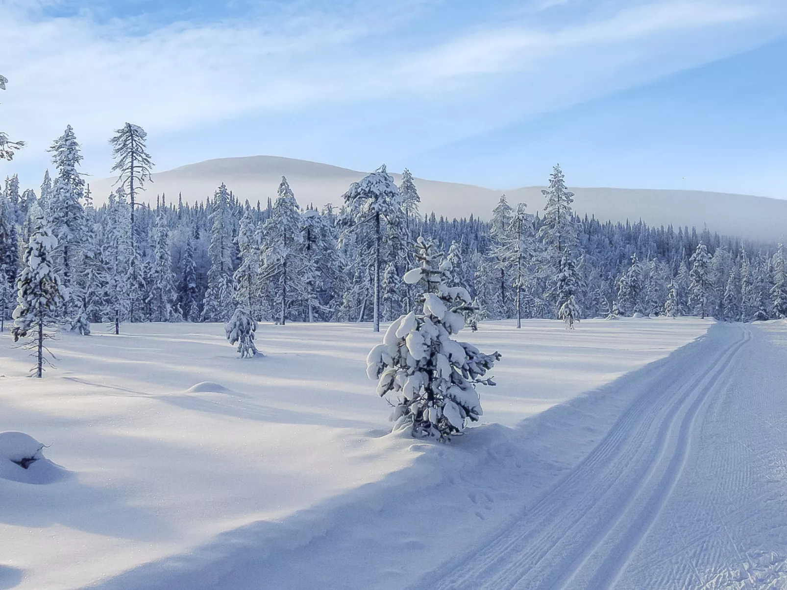 Yllästar 3 as 601-Binnen