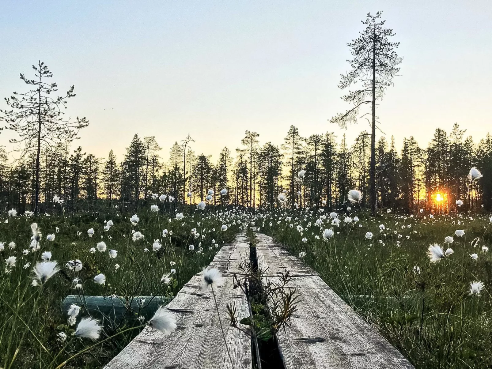 Jussis chalet a-Binnen