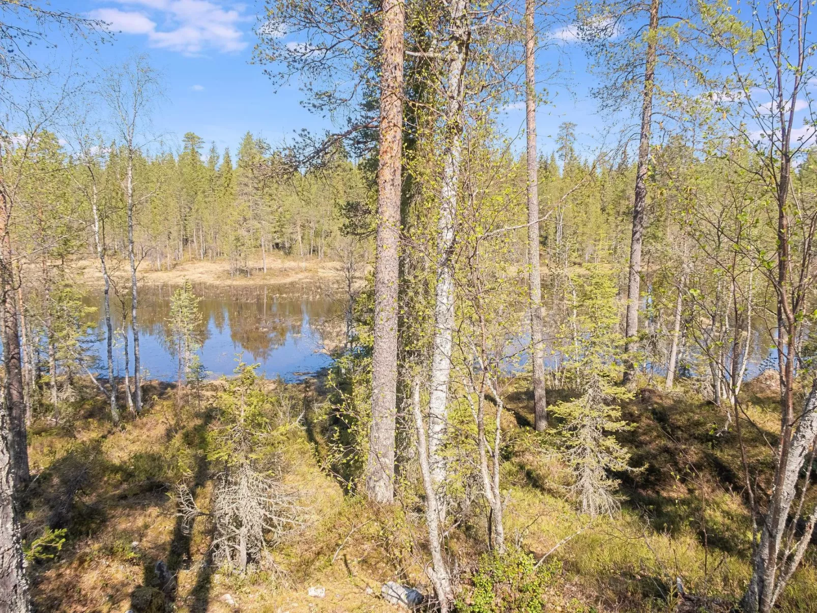 Kiehtäjän lahti-Binnen