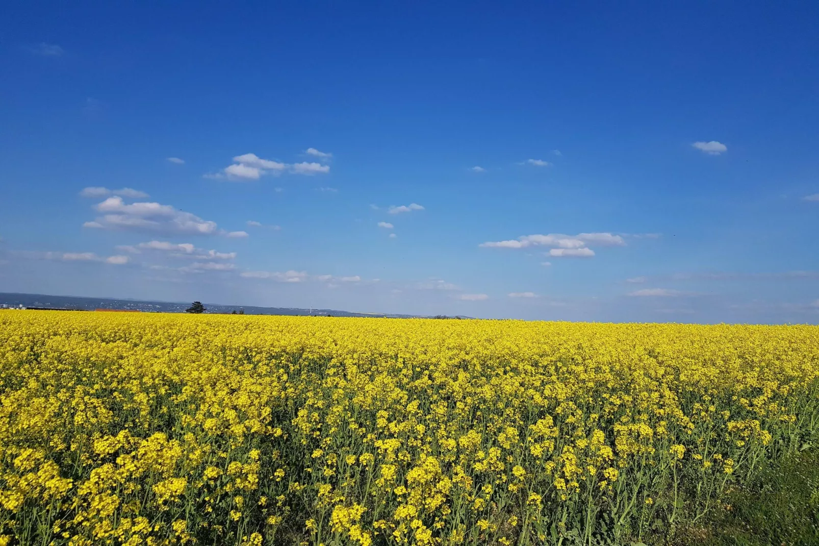 Ferienwohnung Freital - Dresden-Gebieden zomer 5km