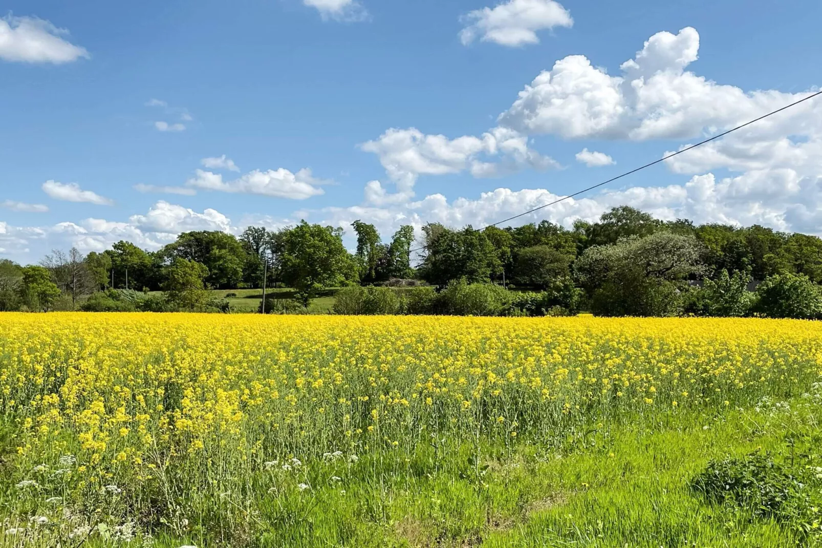 4 Personen vakantie huis in SMEDSTORP-Niet-getagd