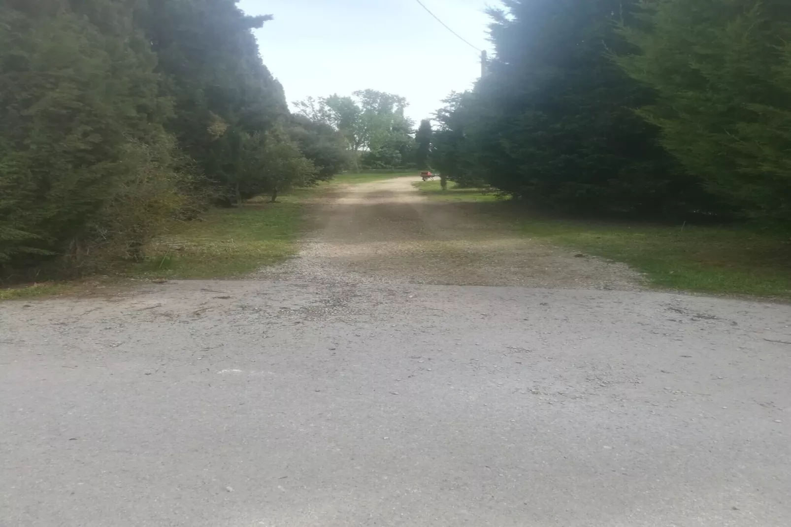 Cal Xelin-Gebieden zomer 1km