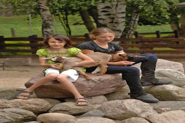 Ferienhaus in Plau am See 3SZ-Parkfaciliteiten