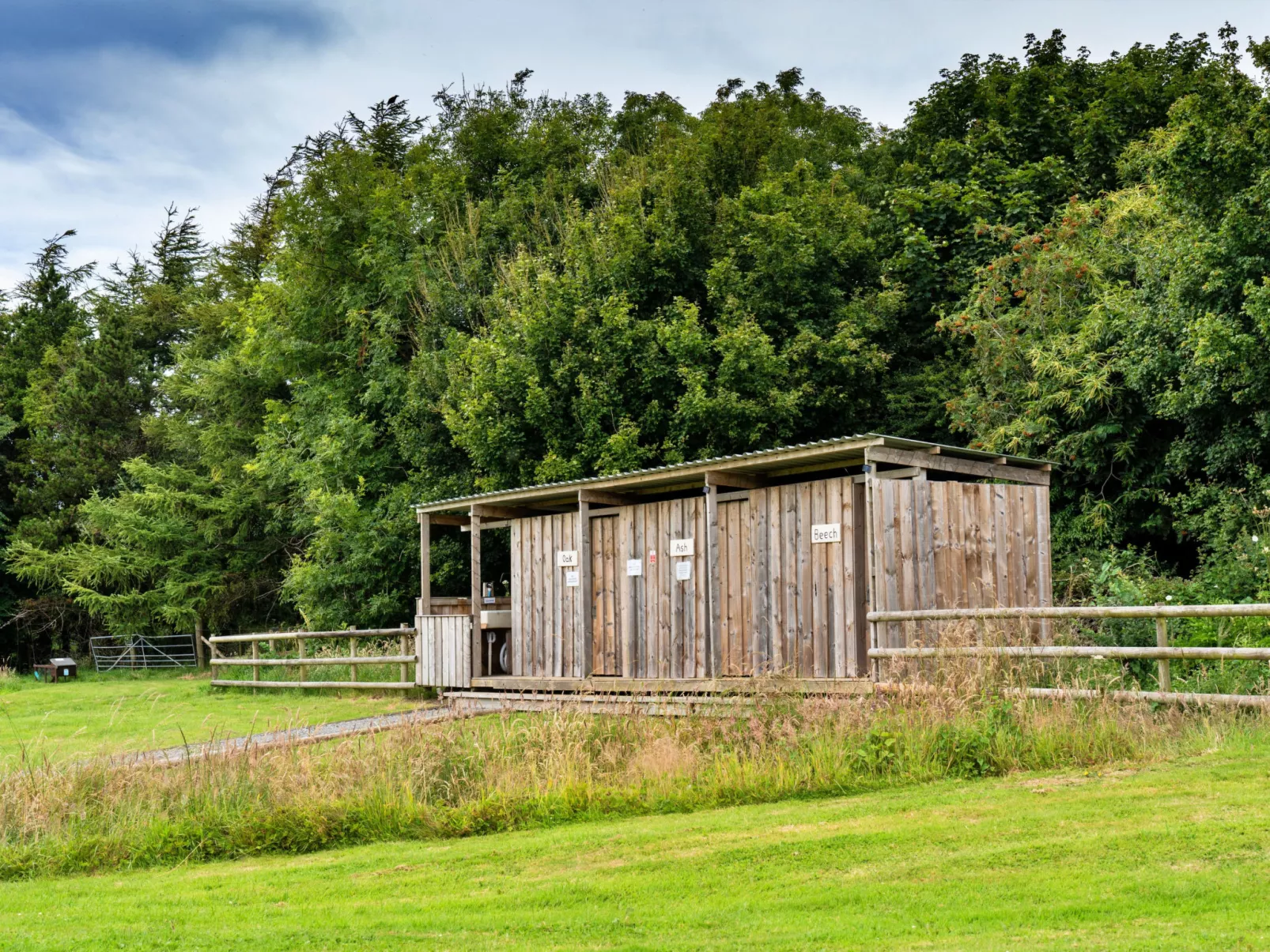 Beech Lotus Belle Tent-Binnen