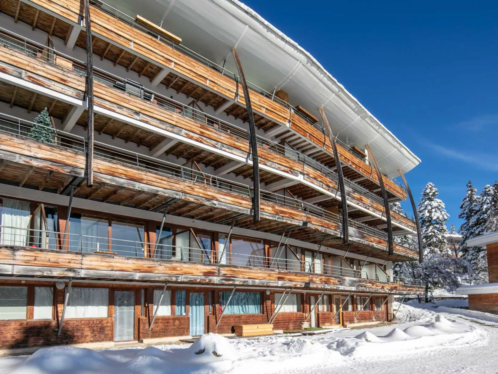 V du Bachat JOUBARBES A-Buiten