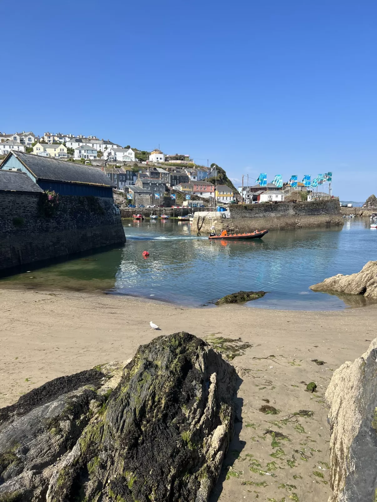 Porthole Cottage-Omgeving