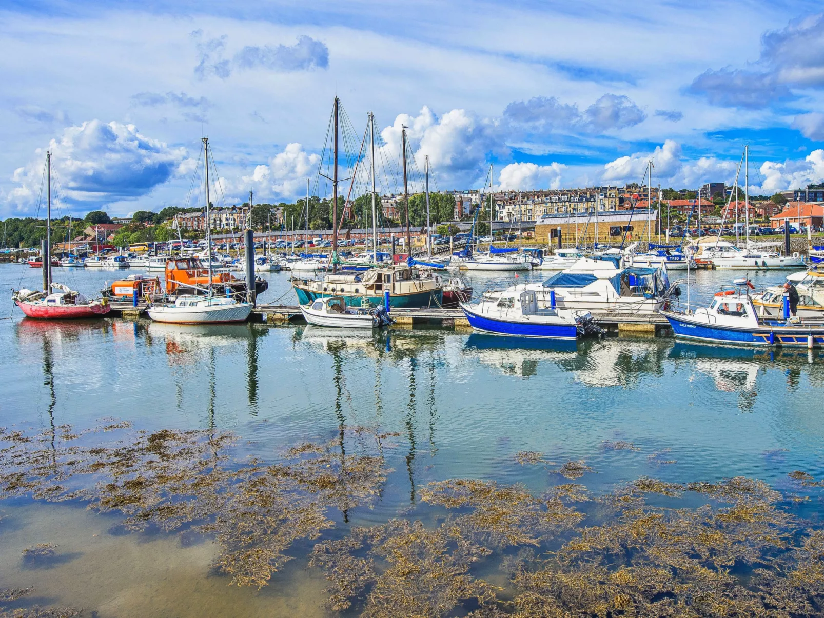 Ukulele Cottage-Binnen