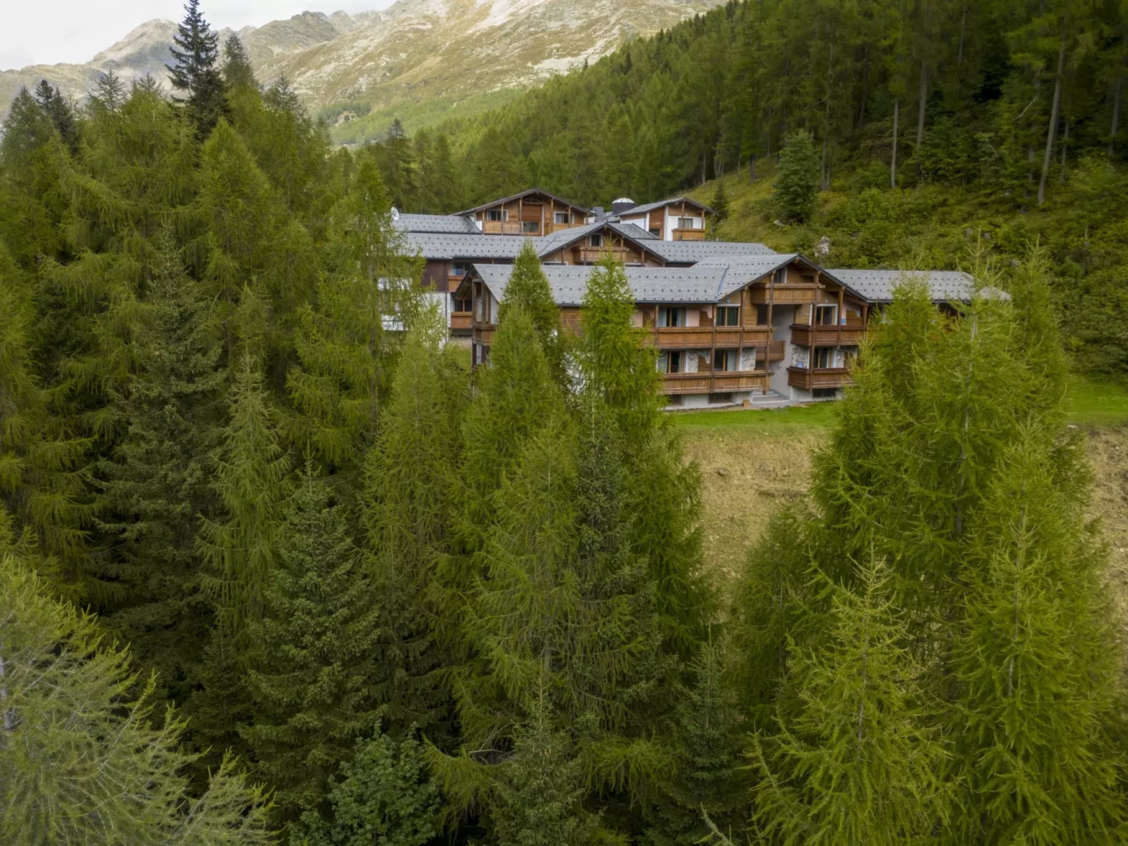 Residence gli Scoiattoli-Buiten