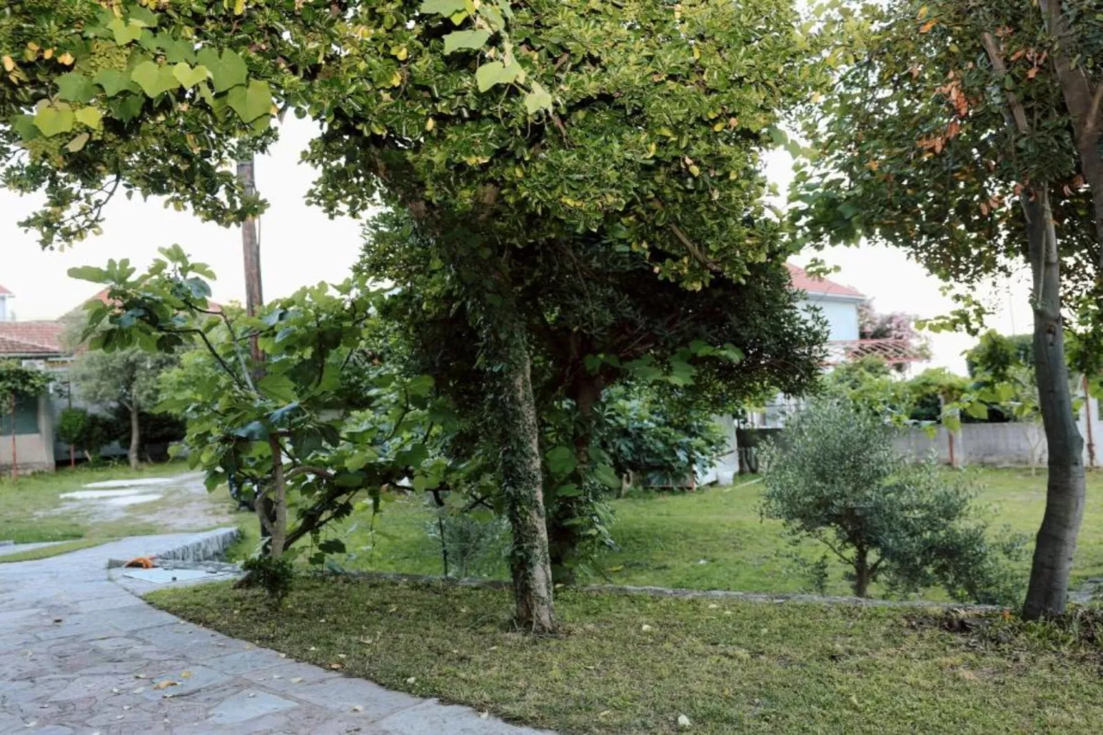 Stylish Apartment with Modern Elegance in Herceg Novi Area - Deluxe One Bedroom Apartment with Balcony-Buitenlucht