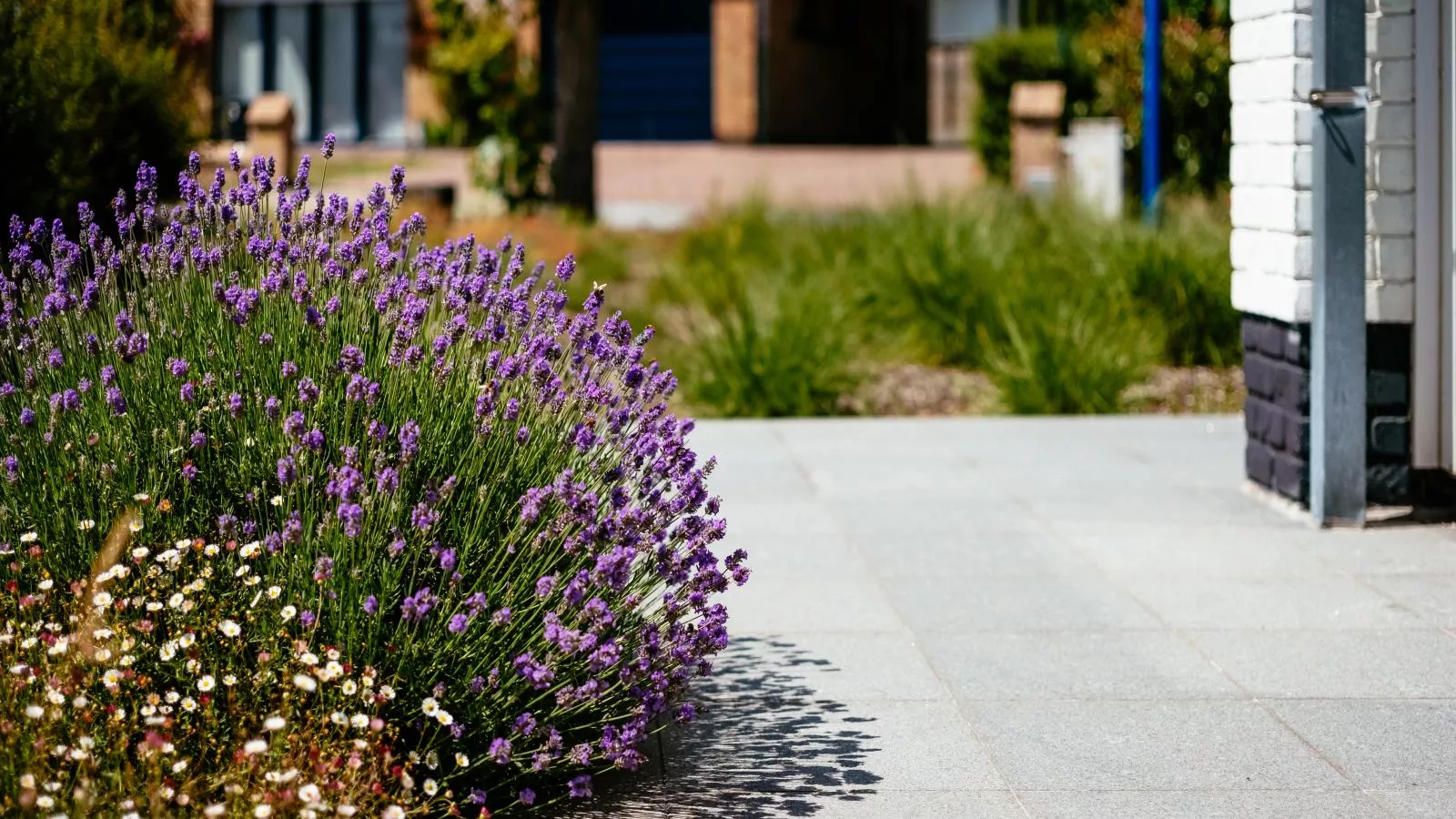 Guillaume-Terrasbalkon