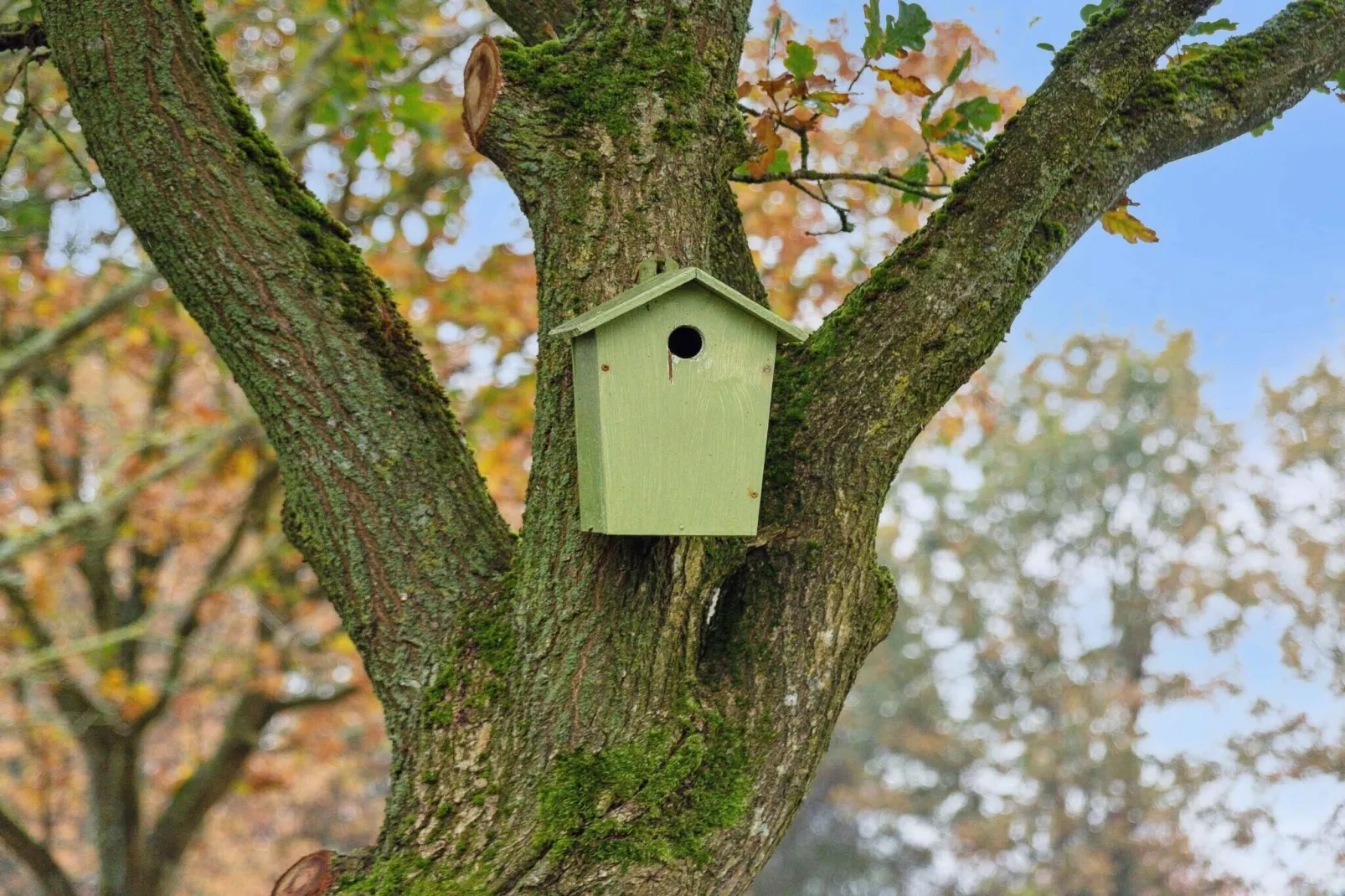 5 sterren vakantie huis in Grindsted-Buitenlucht