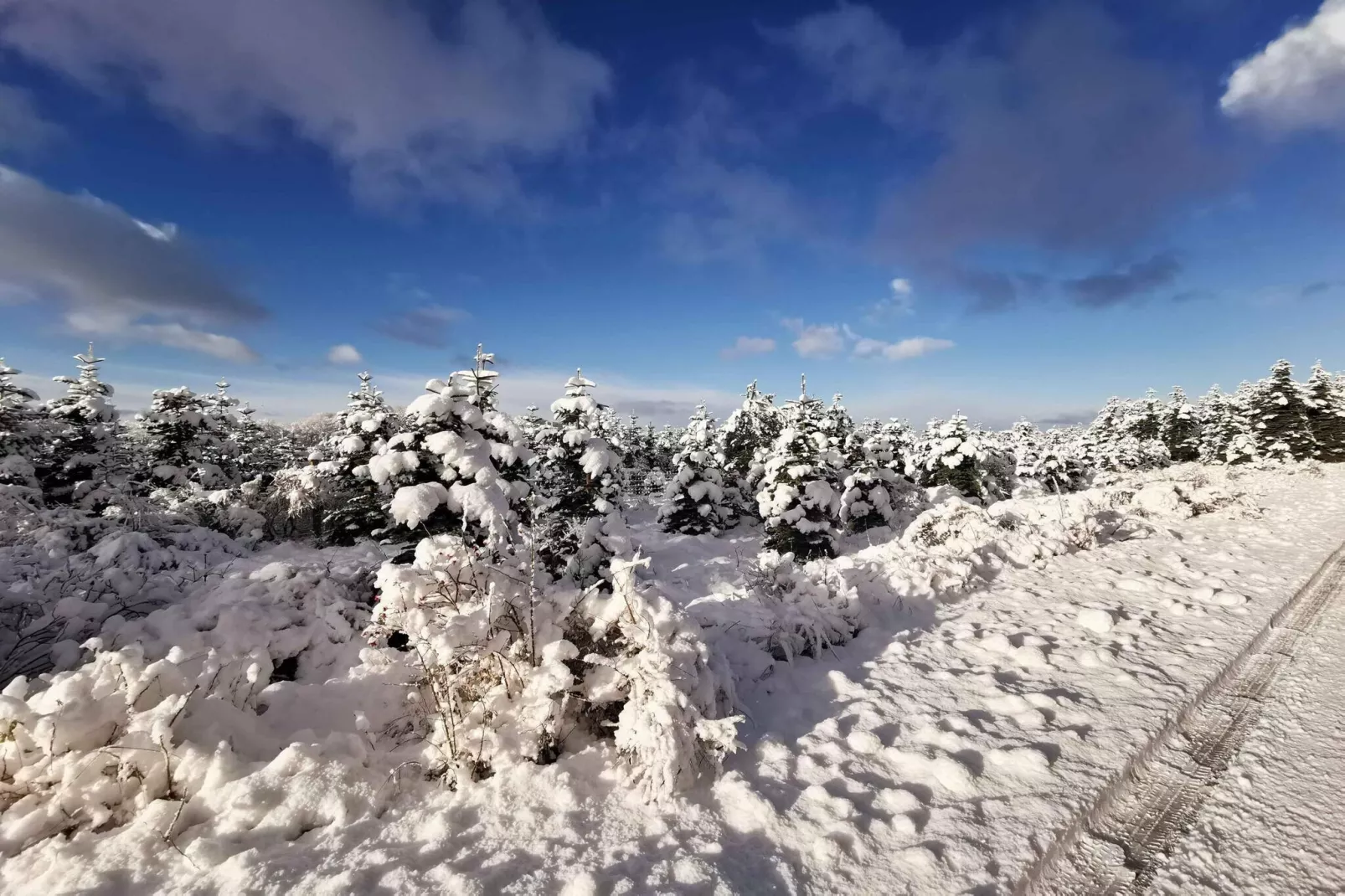 5 sterren vakantie huis in Hadsund-Buitenlucht