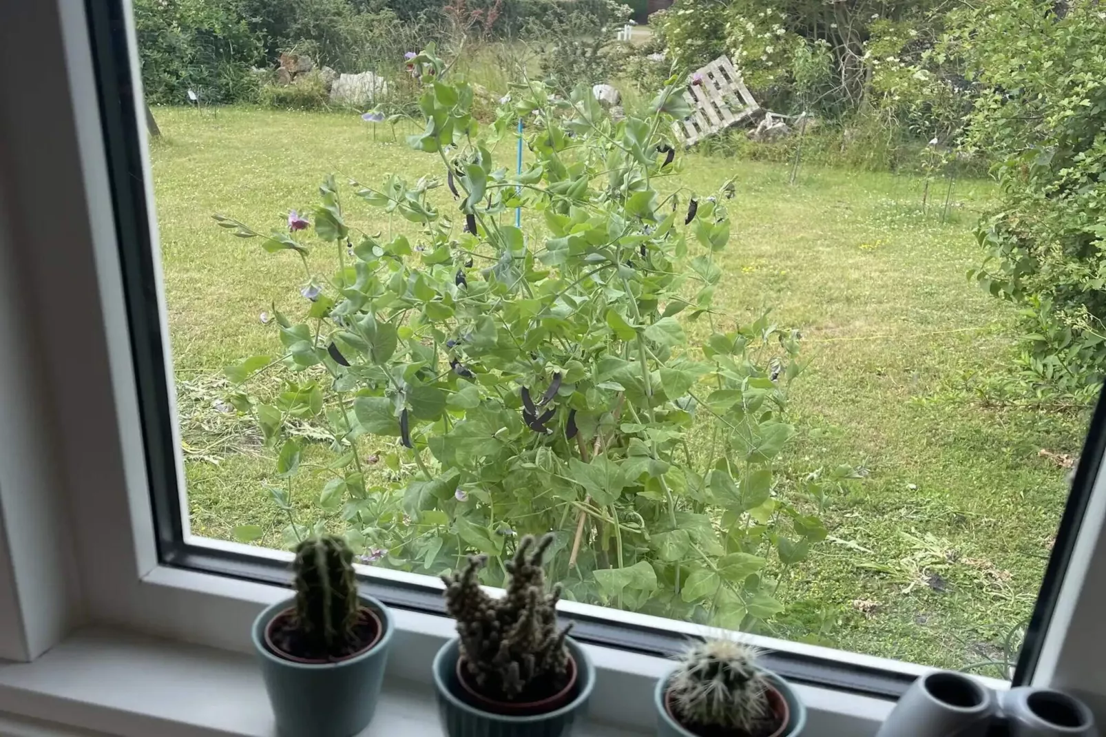 5 sterren vakantie huis in Slagelse-Uitzicht