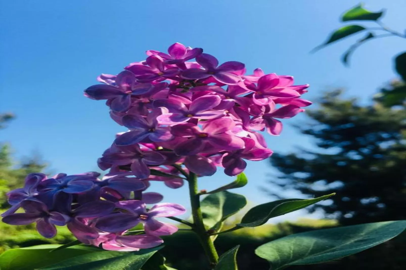 Hausboot in Zehdenick-Gebieden zomer 20km