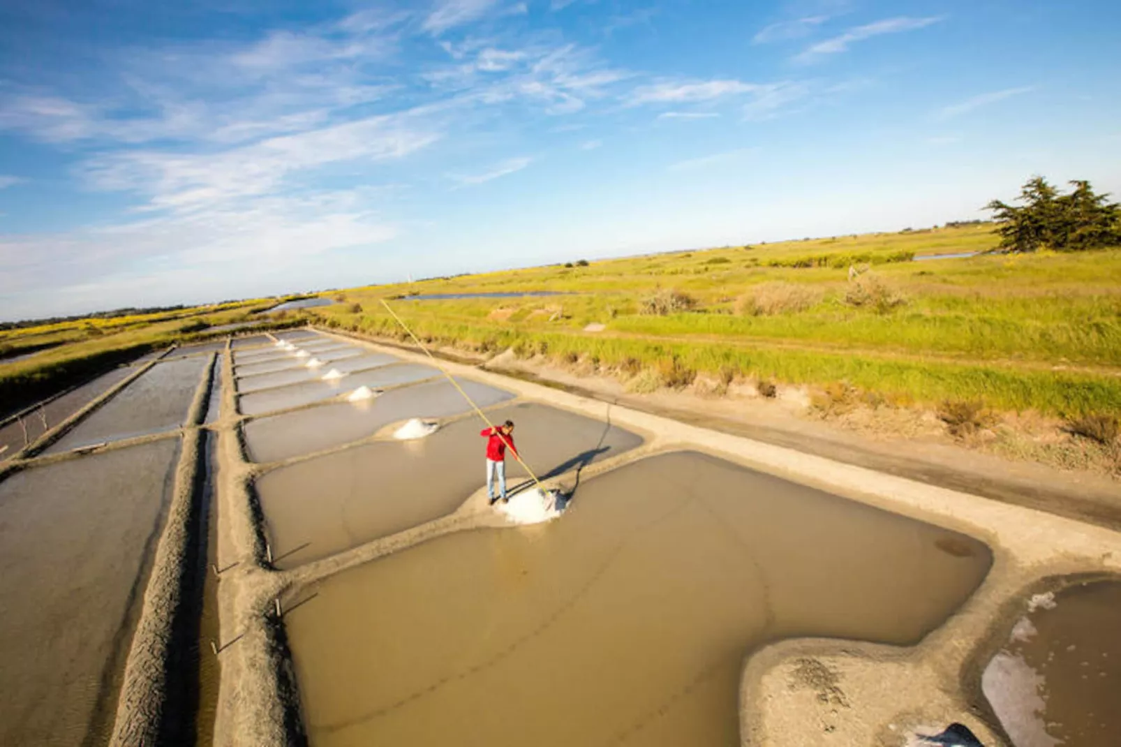 Maison à Noirmoutier-Niet-getagd