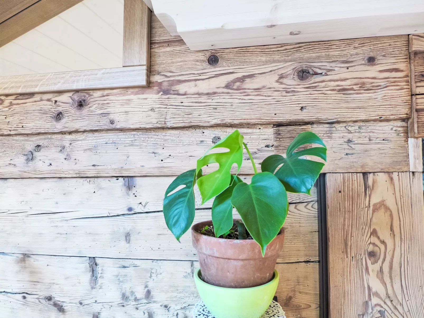 Beim Thor Gross-Binnen