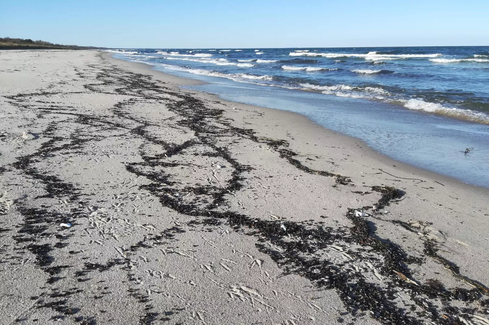 4 persoons vakantie huis in Gedser-Waterzicht