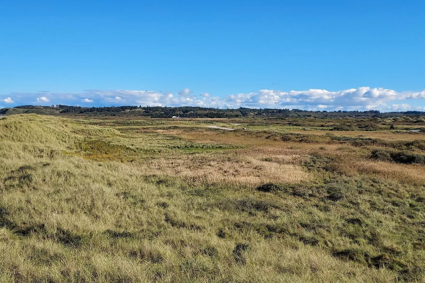 14 persoons vakantie huis in Løkken-Waterzicht