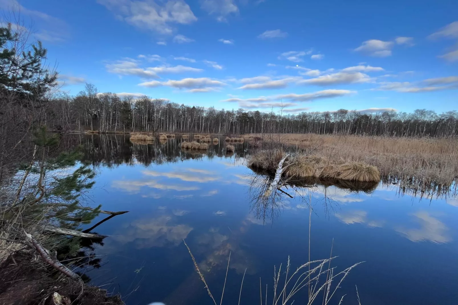 6 persoons vakantie huis in Stubbekøbing-By Traum-Waterzicht