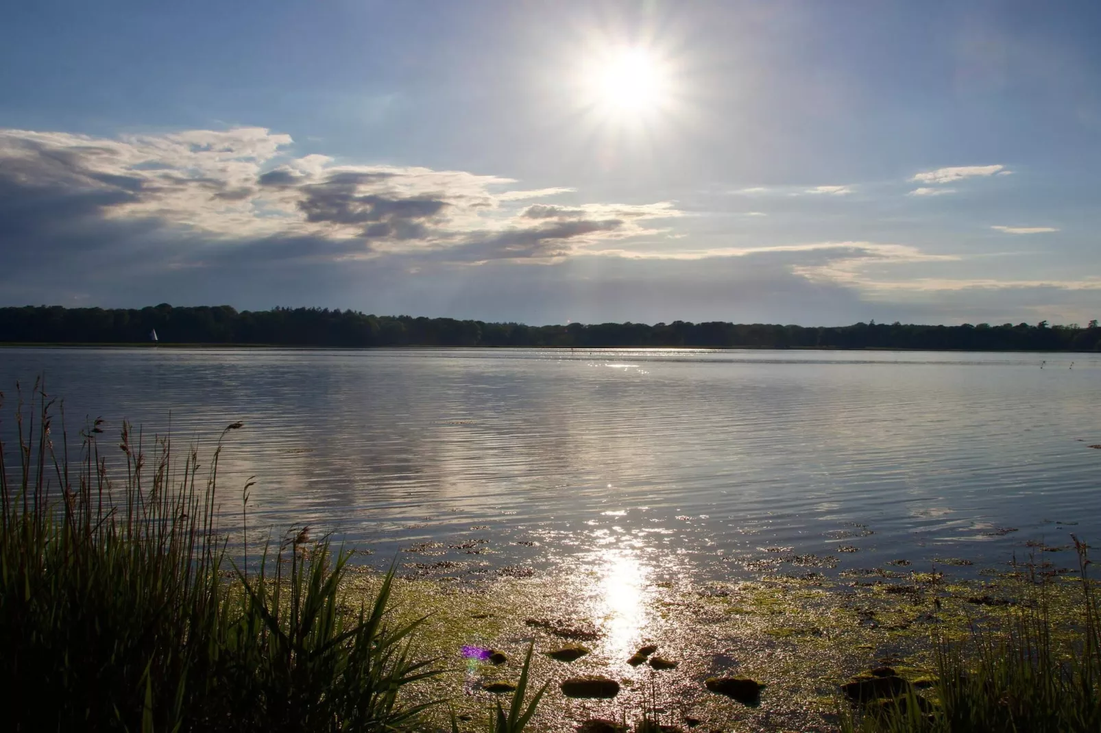 8 persoons vakantie huis in Nysted-Waterzicht