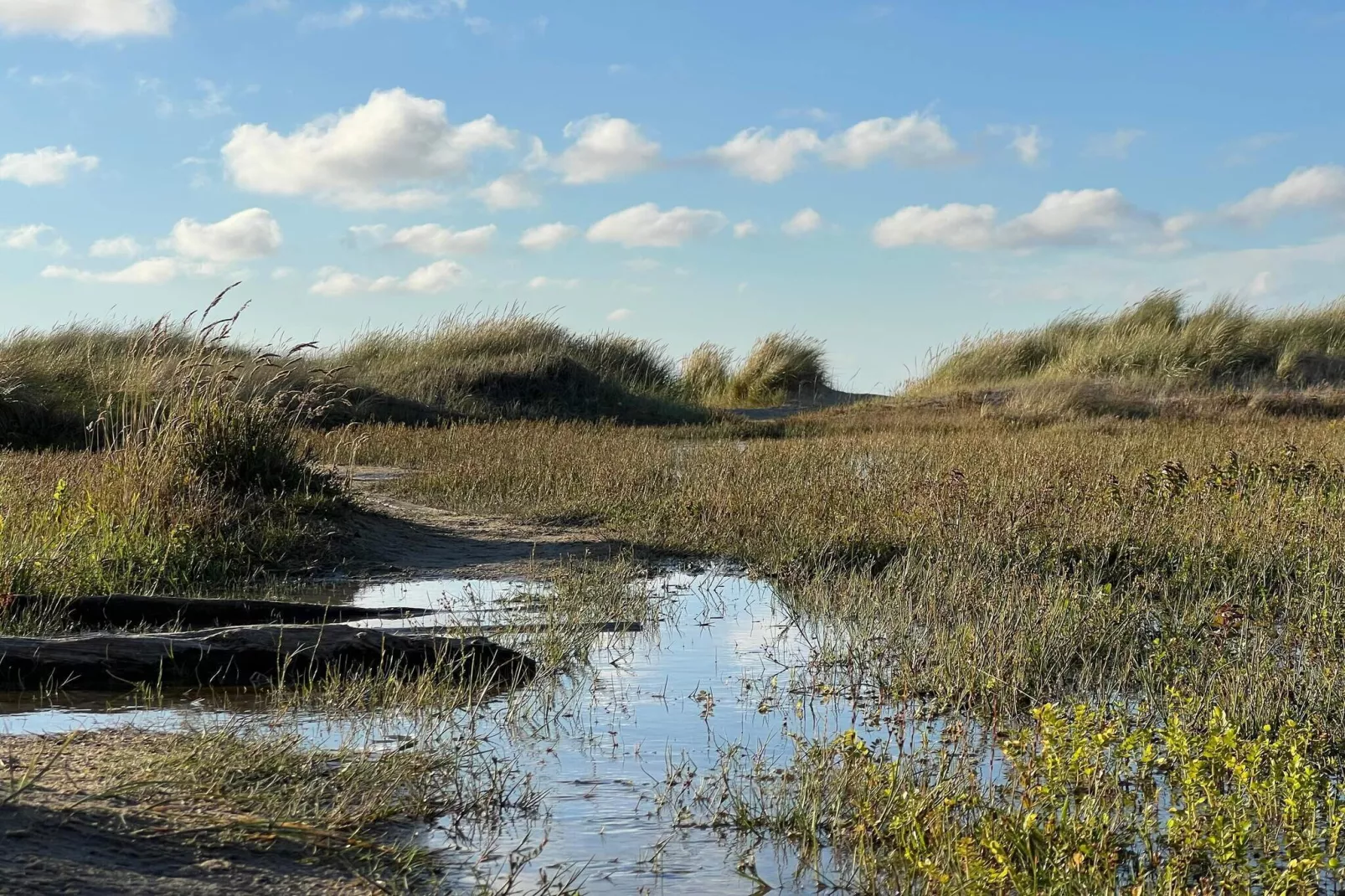 Afgelegen oase met zwembad -- By Traum Ferienwohnungen-Waterzicht