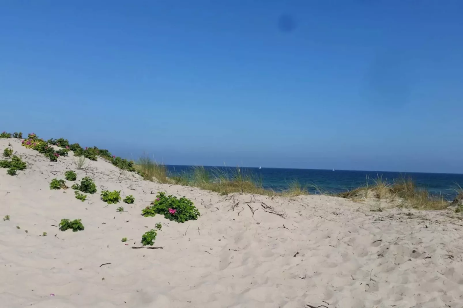 6 persoons vakantie huis in Frederiksværk-By Traum-Waterzicht