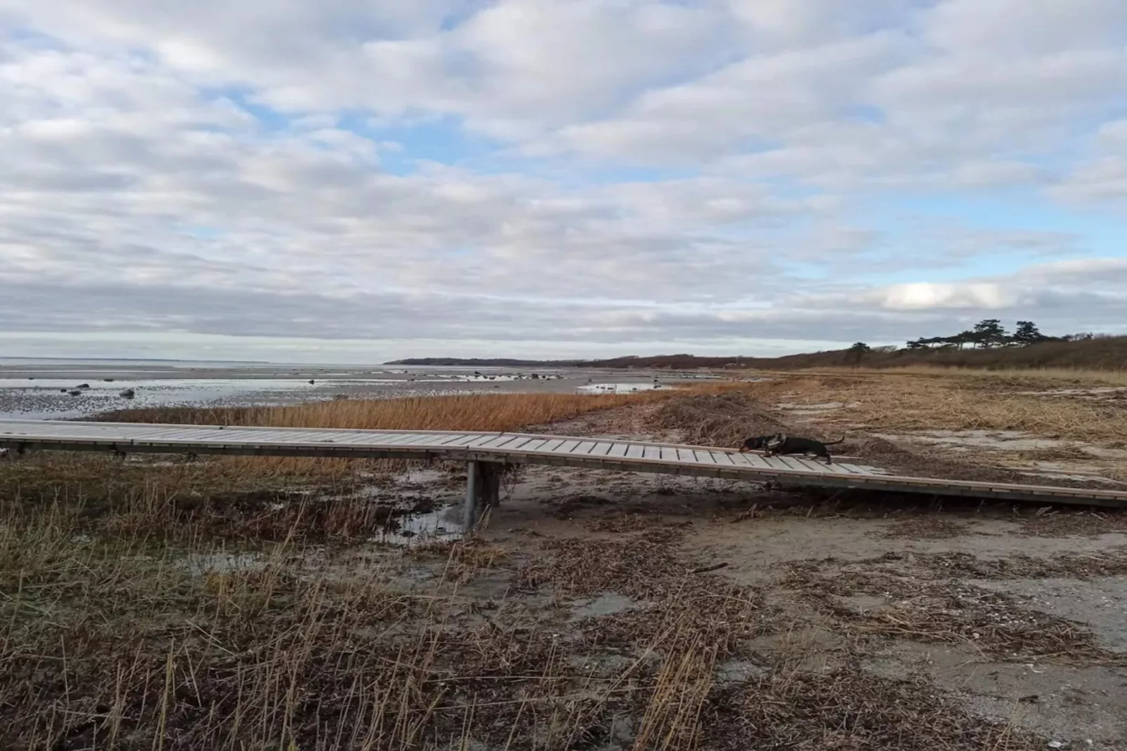 Luxe retraite met zwembad -- By Traum Ferienwohnungen-Waterzicht