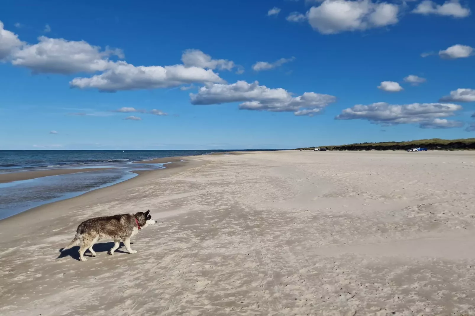 6 persoons vakantie huis in Ålbæk-By Traum-Waterzicht