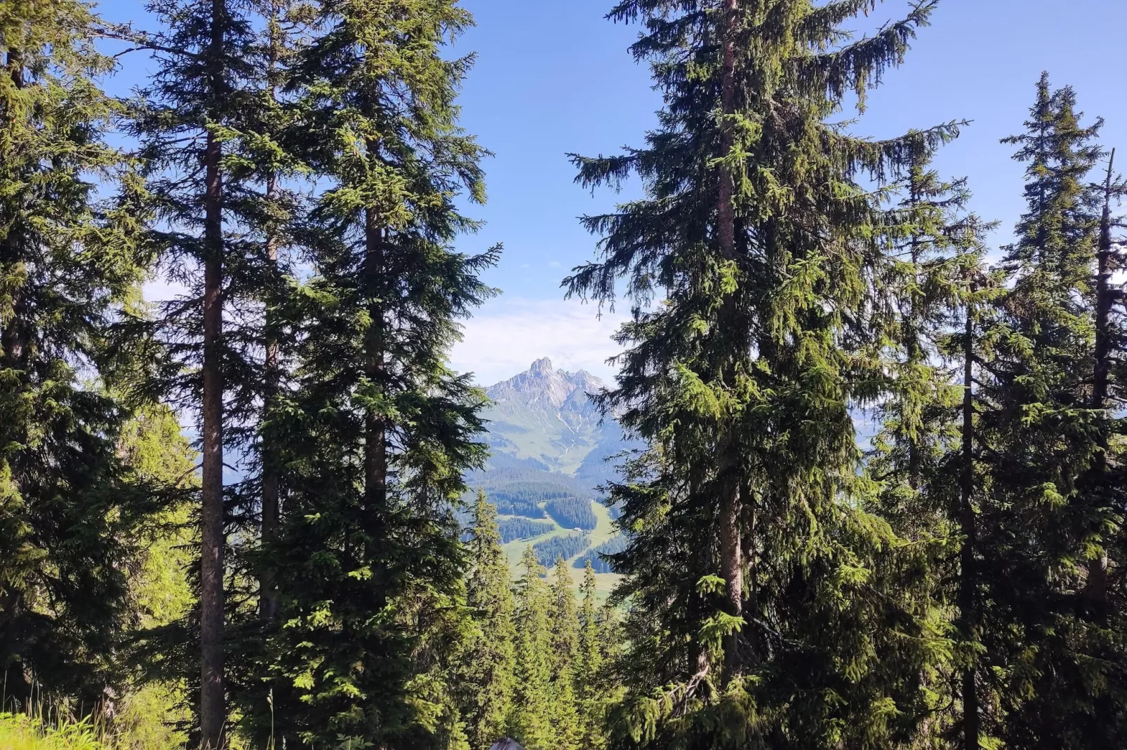 Filzmoos Appartements-Gebieden zomer 1km