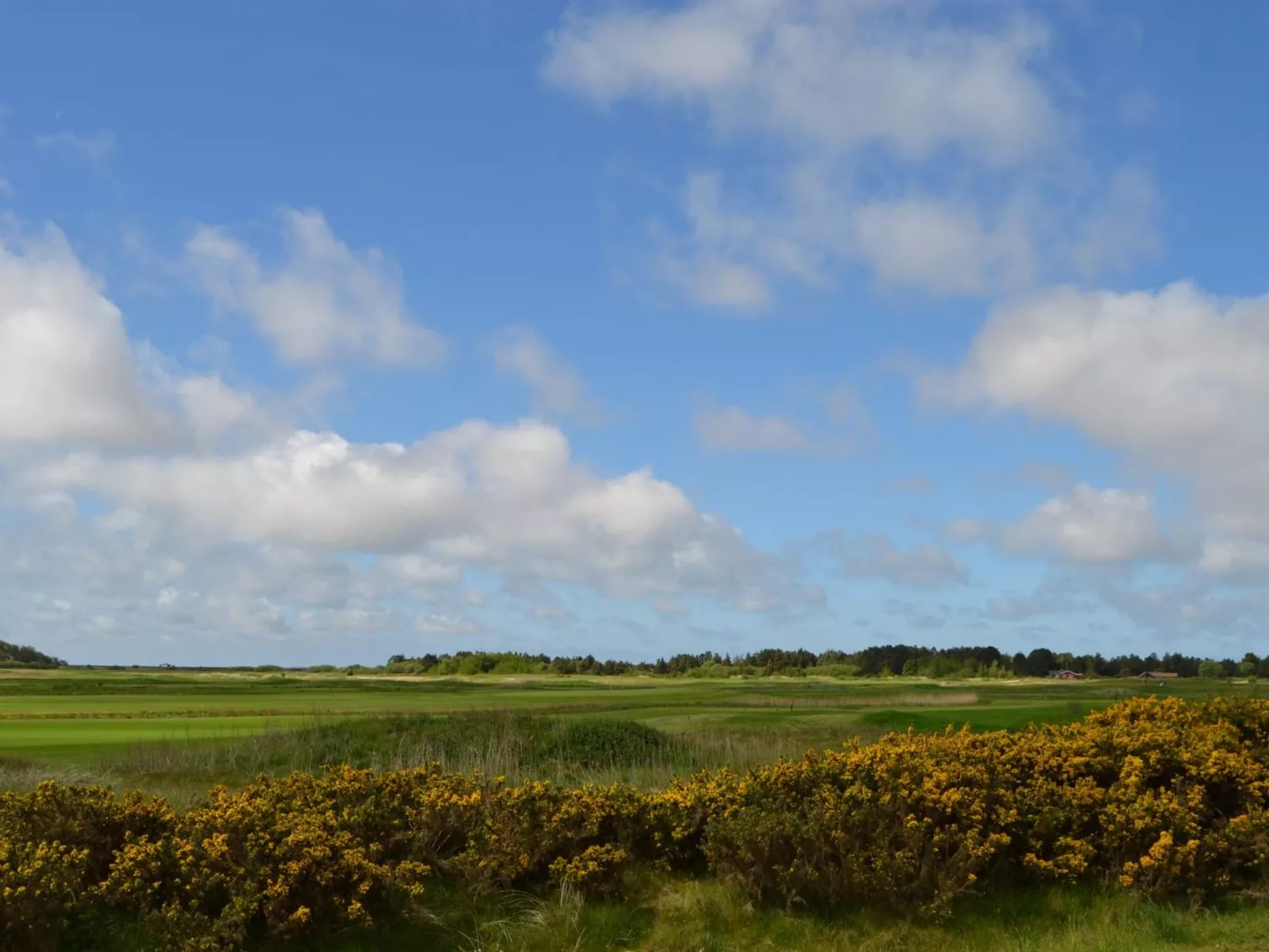 "Auti" - 2.3km from the sea - Buiten