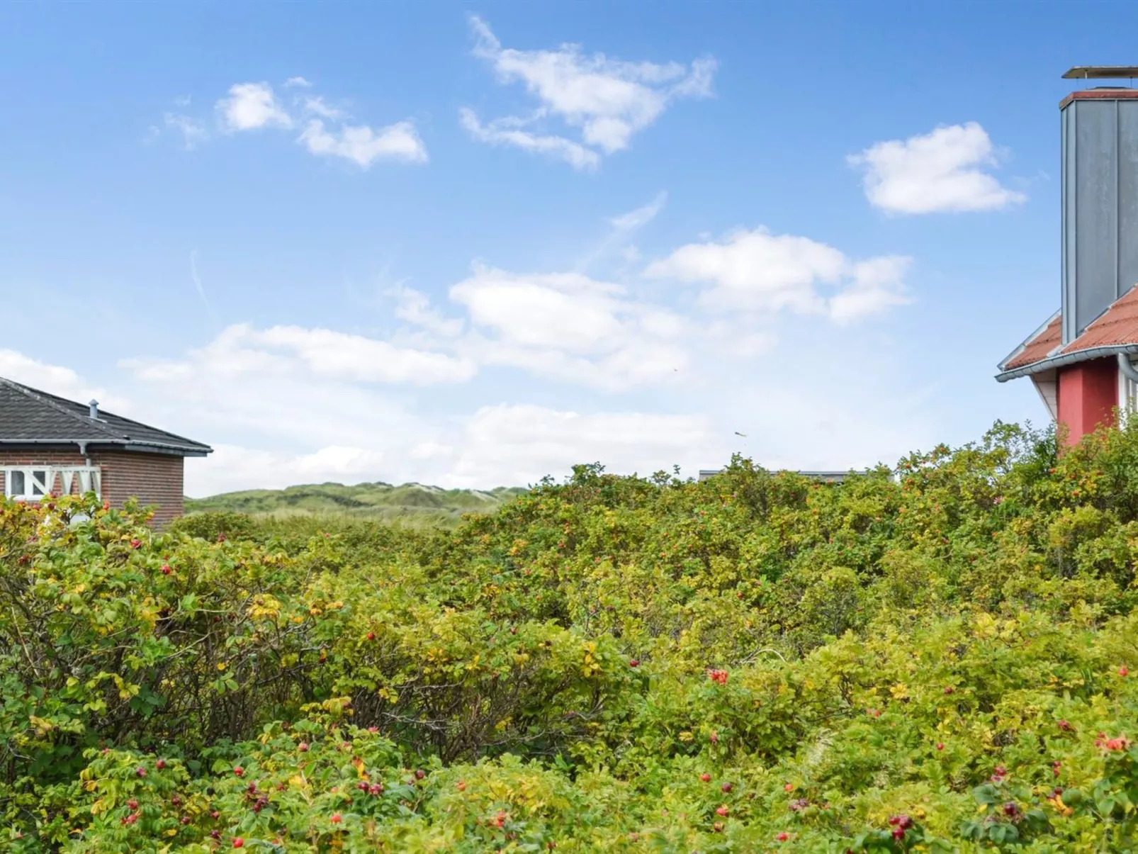 "Kalf" - 400m from the sea-Buiten