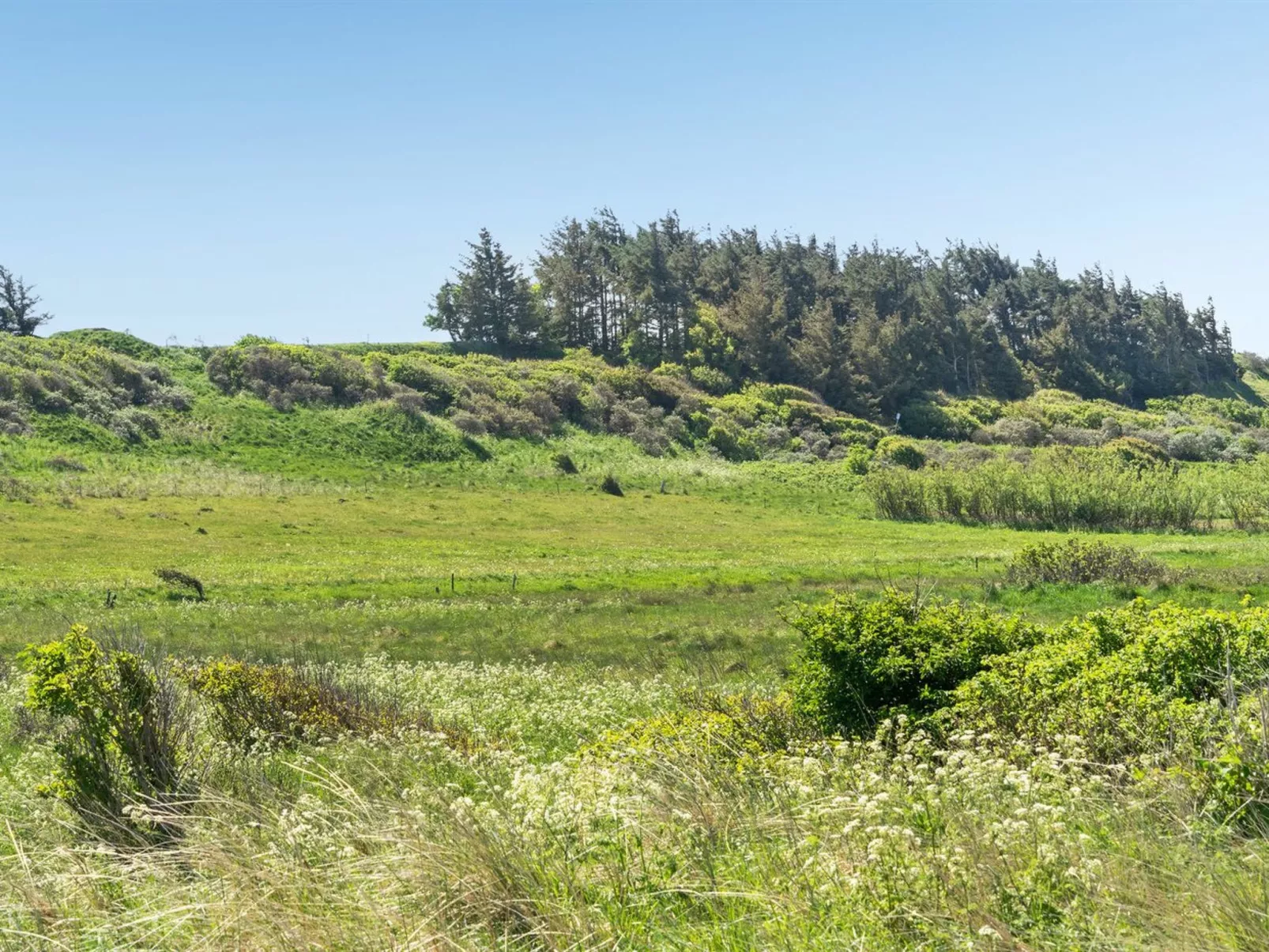 "Welma" - 500m from the sea-Buiten