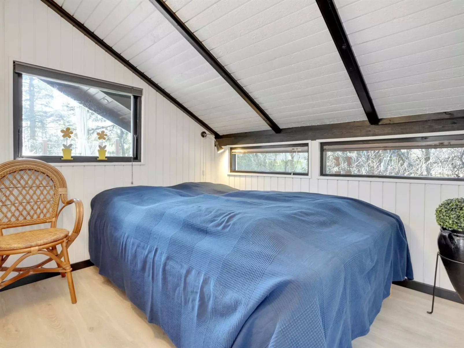 "Elisabeta" - 28km from the sea-Binnen