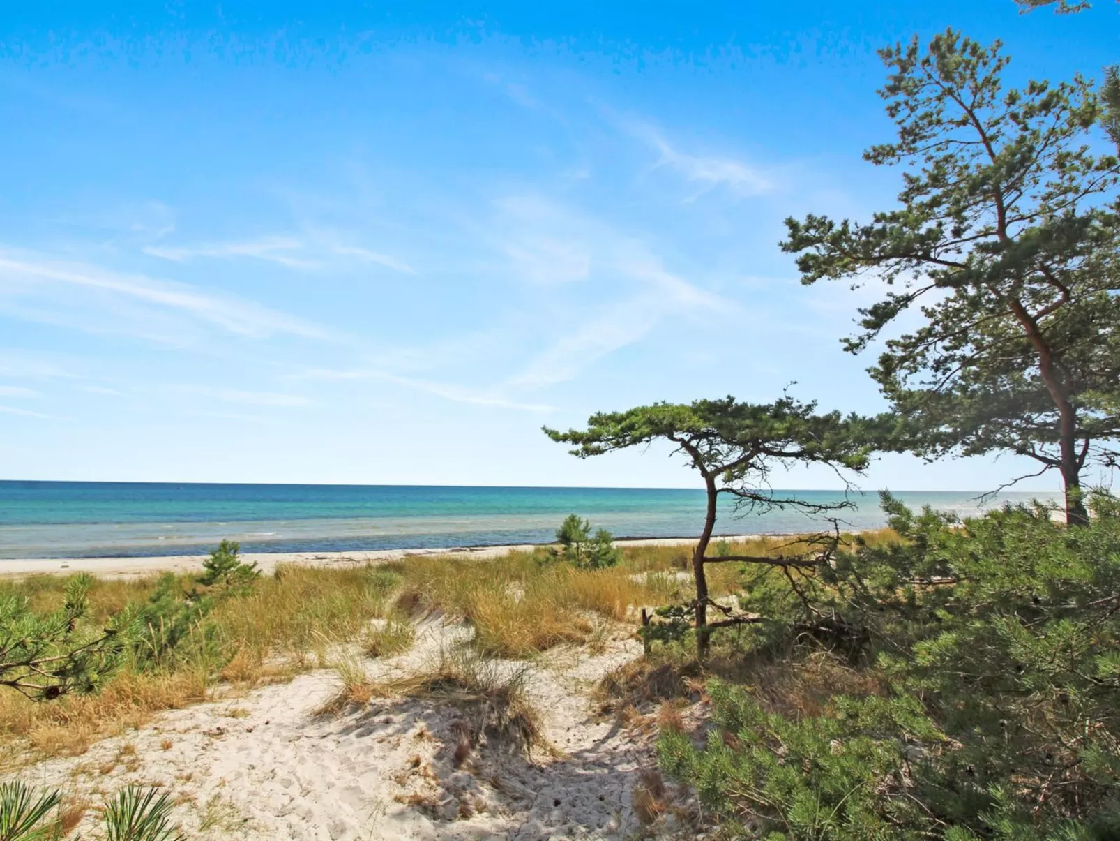 "Læff" - 50m from the sea-Buiten